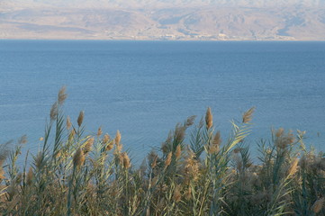 Morze Martwe, ألبَحْر ألمَيّت, Al-Bahr al-Majit, יָם הַ‏‏מֶ‏ּ‏לַ‏ח, Jam haMelach, Morze Soli