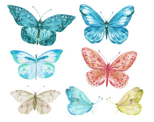 Fototapeta na wymiar butterflies watercolor hand painting