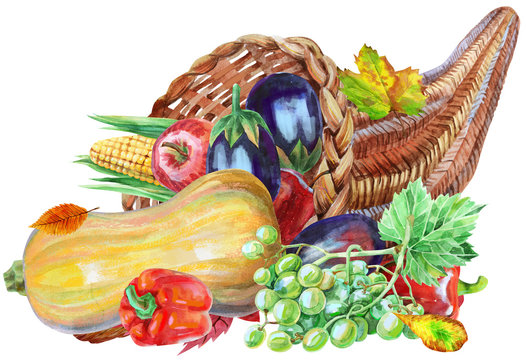 Watercolor cornucopia filled with vegetables and fruits on white background