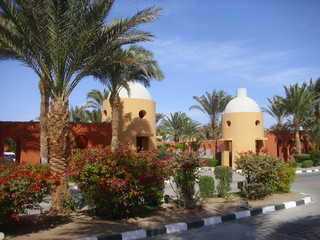 new architecture building future design