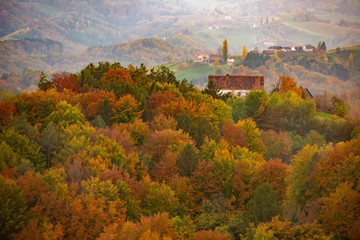 Naklejka premium pastel forests on a hill and the house at the top