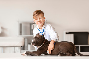 Little veterinarian examining cute dog in clinic
