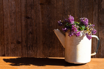 Still life Vintage, of spring flowers, iron kettle on a wooden background, village house. The first flowers. Copy Space