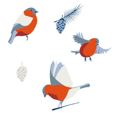 Vector illustration set with bullfinch and plant parts