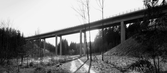 Bridge, Outside, Backyard