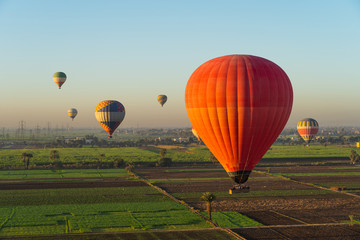 Obraz premium Hot air Balloons over Luxor city in a morning sunrise, Upper Egypt