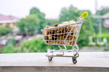 Shopping cart with golden coins on the window
