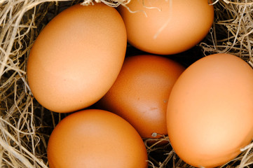 nest with raw chicken eggs on wooden background
