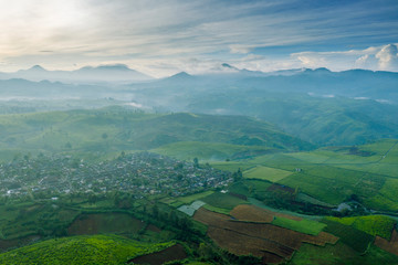 Obraz premium Village and tea plantation on misty morning