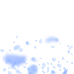 Dark blue flower petals falling down. Alluring rom