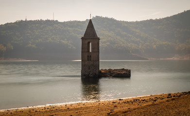 Swamp in Sau reservoir, Catalonia, Spain.