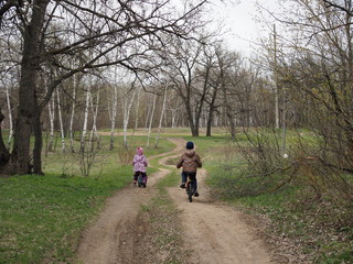 Fototapeta premium children ride bicycles in the spring forest
