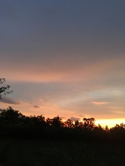 sunset over the silhouette of a tree and orange sky 2