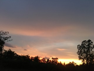 sunset over the silhouette of a tree and orange sky