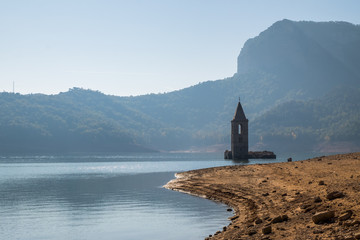 Swamp in Sau reservoir, Catalonia, Spain.