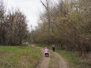 children ride bicycles in the spring forest