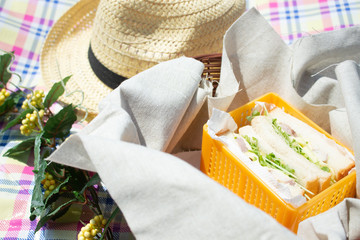 ピクニックとお弁当