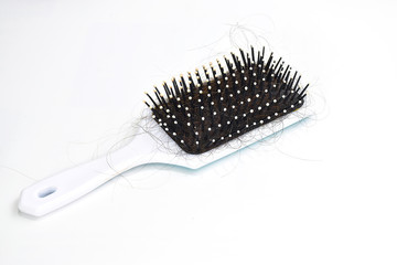 White hair for brushes There are a lot of hair entangled. Putting on a white background	
