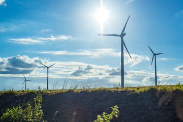 Windräder im Gegenlicht