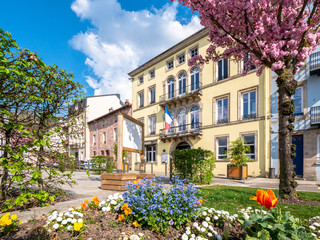 Fleurissement de printemps vers la mairie d'Épinal
