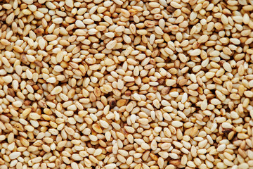Roasted white sesame seeds background 