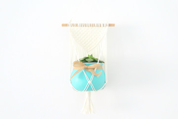 Macrame and plant wall hanger on white background. Boho style hand made textile knotting design interior element