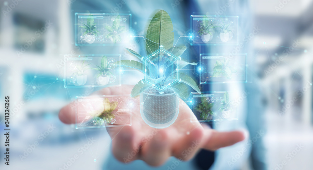 Leinwandbilder man holding and touching holographic projection of a plant with digital analysis 3d rendering