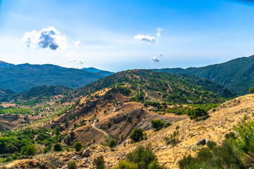 The Mountains of Lebanon are the Symbol of the Country. After Centuries of Persistent Deforestation