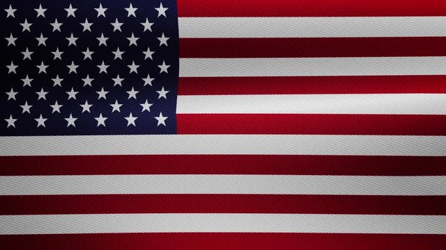 flag of  united states of america