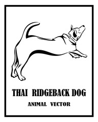Thai ridgeback dog black and white vector eps 10
