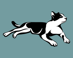 Obraz premium Black and white cat with blue background eps 10