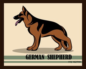 German Shepherd Dog color vector eps 10