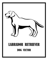 Labrador Retriever dog vector eps 10