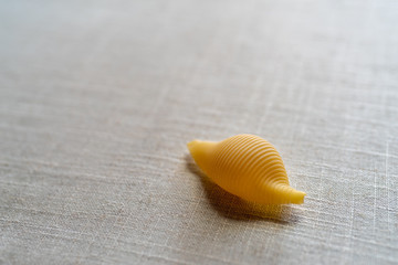 Pasta Shells