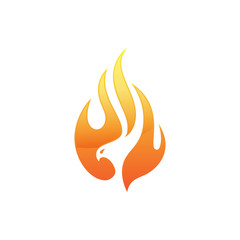 Fire bird phoenix logo design, falcon, eagle, hawk and wing vector icon