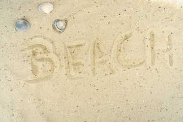 The word beach written in the sand of a beach
