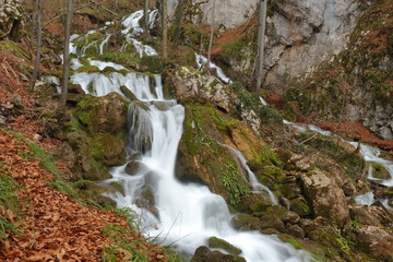 waterfall in the forest