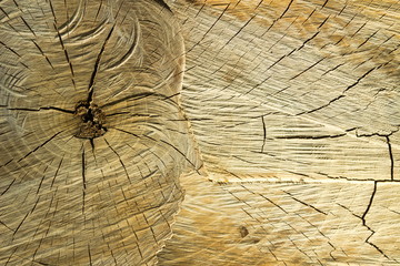 drewno i widoczne na nim sęki i pęknięcia