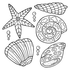 Hand drawn sea shell isolated on a white background. Coloring book for children and adults. Simple outline antistress drawing.