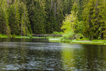 étang de la Gruère, la gruère, Moorsee, See, Weiher, Moor, Hochmoor, Wanderweg, Holzbrücke,...