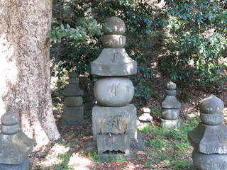 Fototapeta na wymiar 横浜市金沢区の称名寺にある北条顕時の墓