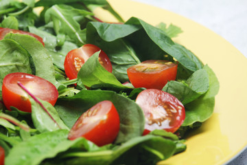 A plate with green salad and cherry tomatoes