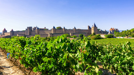 Fototapeta na wymiar Row vine grape in champagne vineyards at Carcassonne background