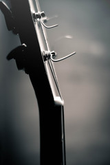 Monochrome guitar