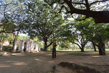 Woman standing under Chamchuri Tree in Buriram, Thailand