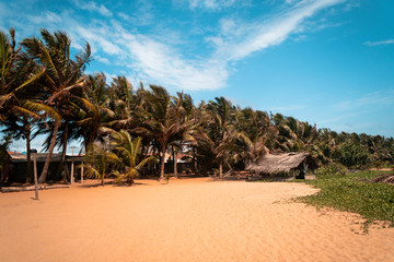 Tropikalna chatka, las palm kokosowych oraz piękna plaża na tle niebieskiego nieba.