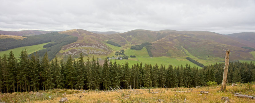 Moorland of the Southern Uplands, looking across the valley, from Cademuir Hill, near Peebles, Scottish Borders, Scotland, UK.