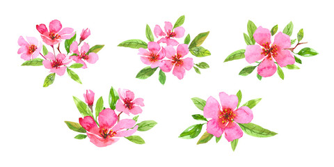 Set of watercolor cherry blossom flower wreath. Sakura beautiful spring floral collection. Colorful illustration isolated on white background