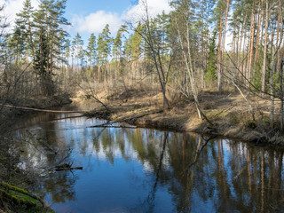 Obraz premium river view in early spring