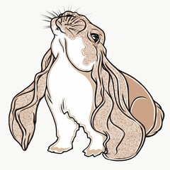 Vector illustration of a bunny